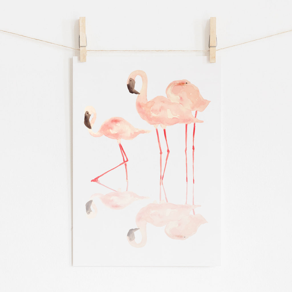 "3 Flamingos"